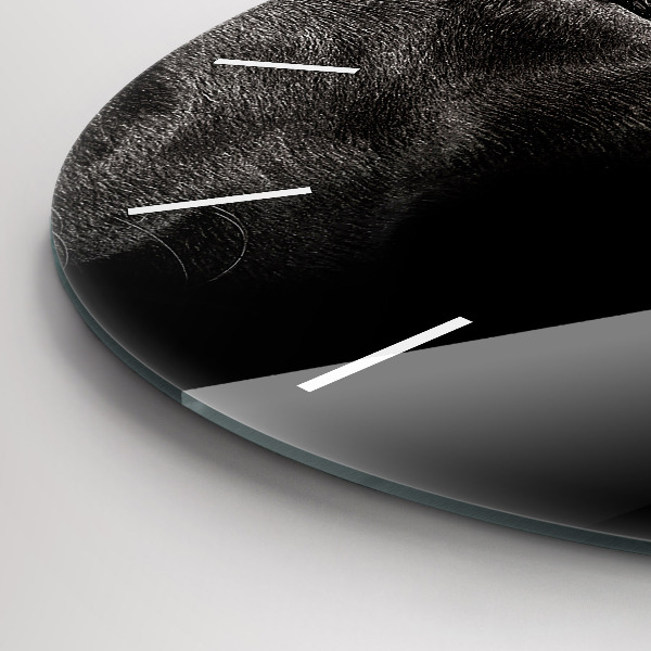 Kerek fali üvegóra Scottish Fold kutya és macska