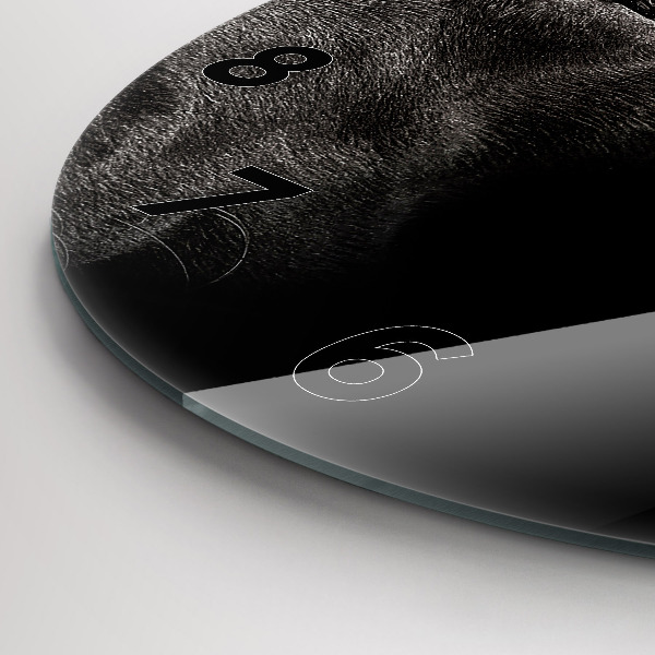 Kerek fali üvegóra Scottish Fold kutya és macska